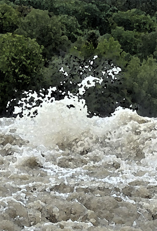 Rapids, by Public Domain Cover image.