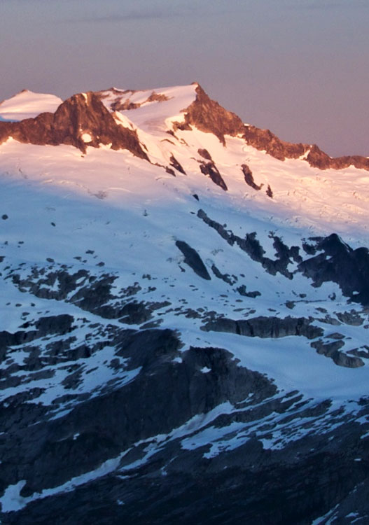 Mount Albert by McKay Savage Cover image.
