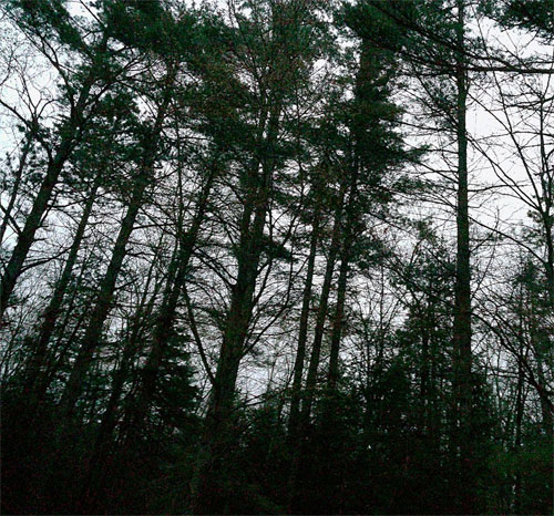 Alistair Blackledge Alistair Blackledge