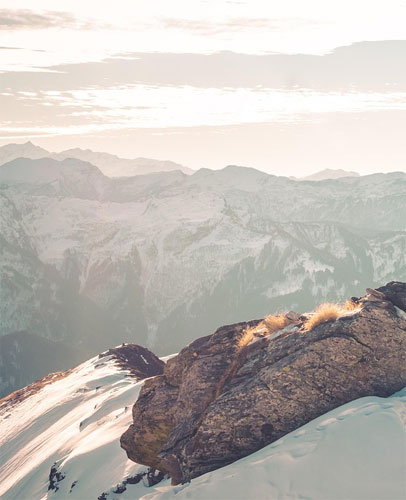 Harrison Cashmere Harrison Cashmere