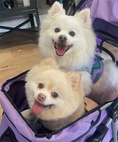 P.S. Perkins P.S. Perkins